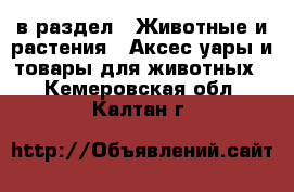  в раздел : Животные и растения » Аксесcуары и товары для животных . Кемеровская обл.,Калтан г.